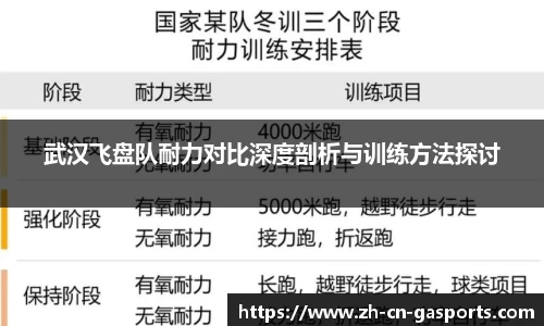 武汉飞盘队耐力对比深度剖析与训练方法探讨
